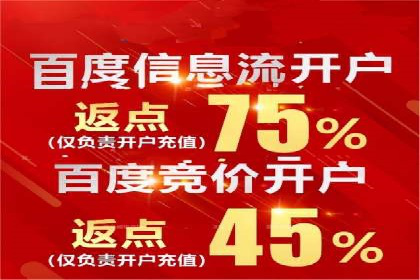 行业领先企业如何通过SEM运营提升ROI